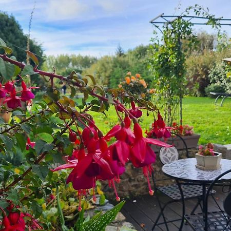 Bed and Breakfast Lesroses1680 Blainville-sur-Mer Zewnętrze zdjęcie